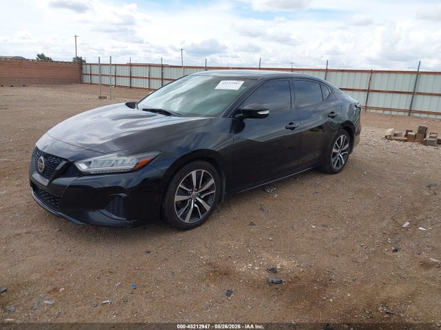 Nissan Maxima 3.5 Sv 2019 1N4AA6AV3KC377640 Image 2
