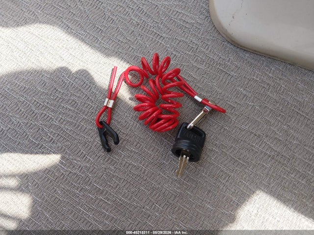 45215311 :رقم المزاد ، SYL64176G819 vin ، 2019 Sylvan 20' مزاد بيع