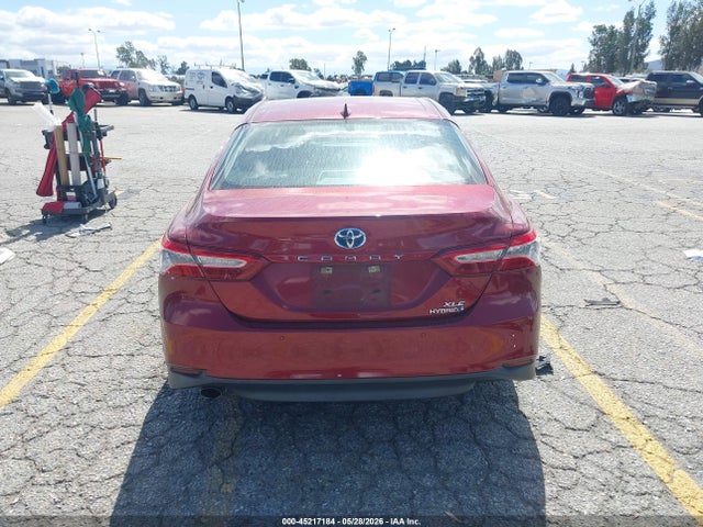 4T1F31AK6LU541957 Toyota Camry Xle Hybrid
