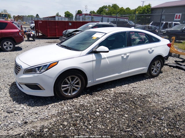 2017 Hyundai Sonata მანქანა იყიდება აუქციონზე, vin: 5NPE24AF6HH564177, აუქციონის ნომერი: 45224388
