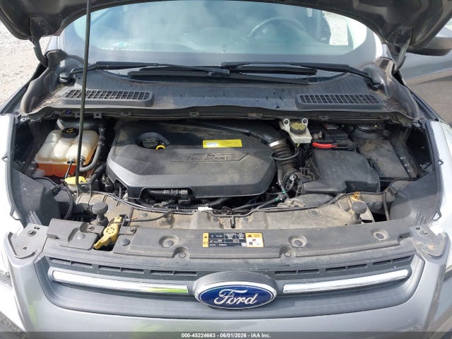 Продаж на аукціоні авто 2014 Ford Escape Se, vin: 1FMCU0GX9EUC66813, номер лоту: 45224663