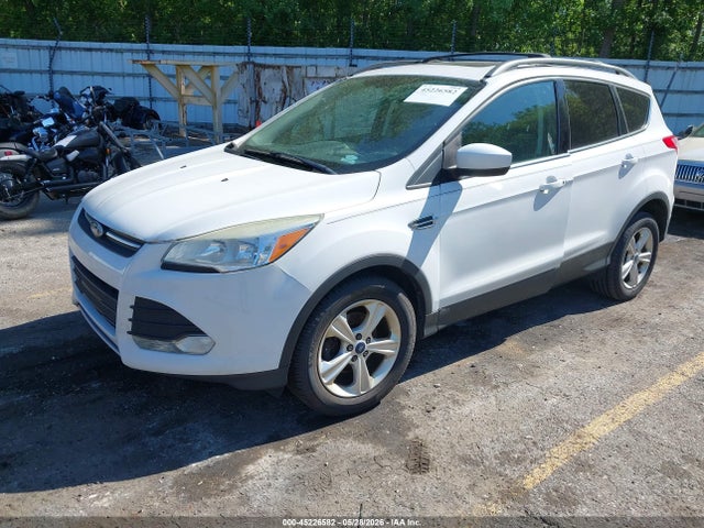 Продаж на аукціоні авто 2014 Ford Escape, vin: 1FMCU0GX1EUA12514, номер лоту: 45226582