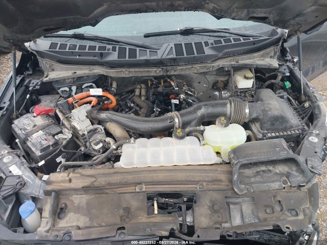 Продаж на аукціоні авто 2024 Ford F-150 Xlt, vin: 1FTFW3LD6RFA72002, номер лоту: 45227252