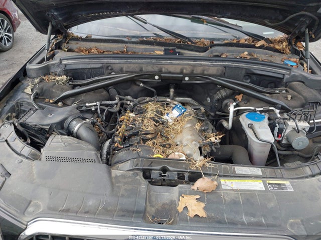 45227897 :رقم المزاد ، WA1LFAFP5DA011804 vin ، 2013 Audi Q5 2.0t Premium مزاد بيع