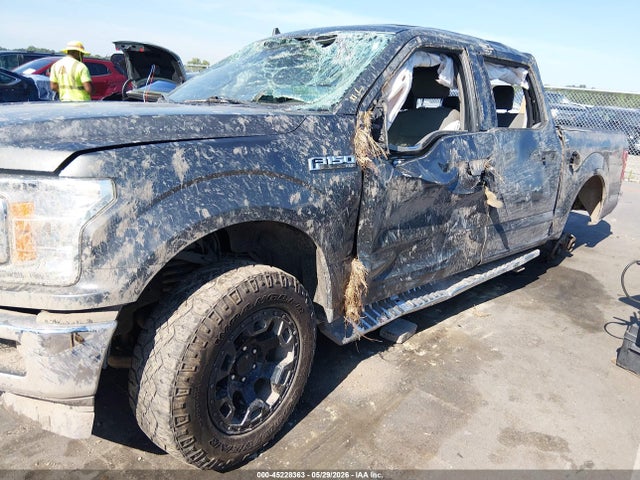 Продаж на аукціоні авто 2019 Ford F-150 Xlt, vin: 1FTEW1E40KKC53008, номер лоту: 45228363
