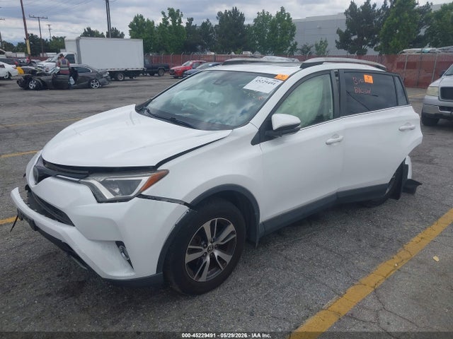 JTMWFREV5JJ744707 Toyota Rav4 Xle