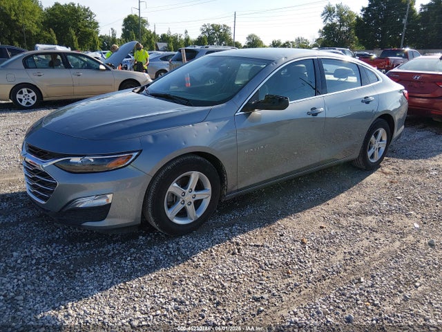 Продажа на аукционе авто 2024 Chevrolet Malibu Fwd 1fl, vin: 1G1ZC5ST7RF124224, номер лота: 45230786