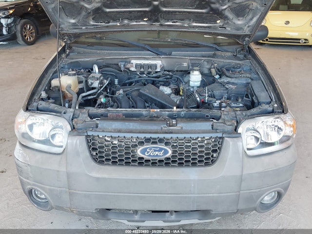 2006 Ford Escape Xlt/xlt Sport მანქანა იყიდება აუქციონზე, vin: 1FMYU03146KA17503, აუქციონის ნომერი: 45232493