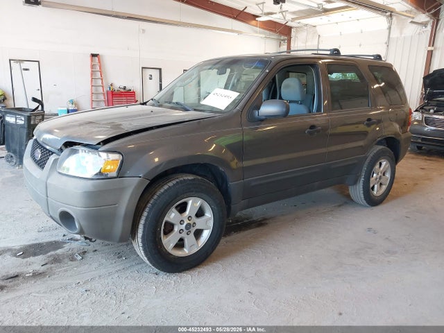 2006 Ford Escape Xlt/xlt Sport მანქანა იყიდება აუქციონზე, vin: 1FMYU03146KA17503, აუქციონის ნომერი: 45232493