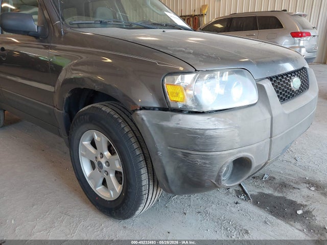 2006 Ford Escape Xlt/xlt Sport მანქანა იყიდება აუქციონზე, vin: 1FMYU03146KA17503, აუქციონის ნომერი: 45232493