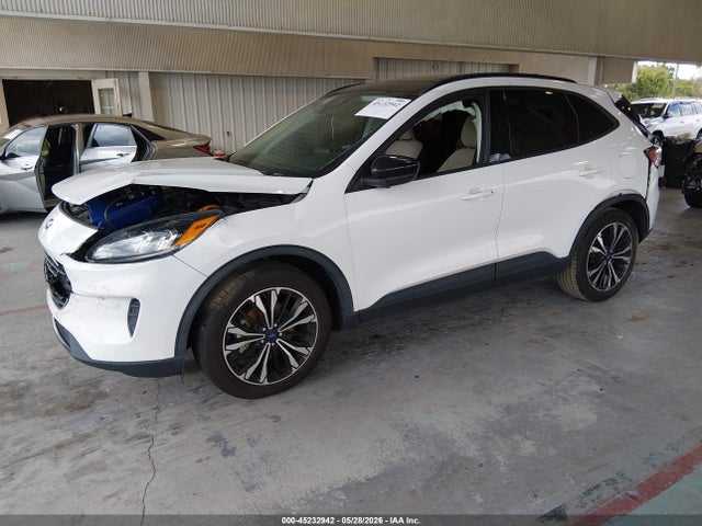 Aukcja sprzedaży 2021 Ford Escape Se Hybrid, vin: 1FMCU0BZ0MUA09398, numer aukcji: 45232942