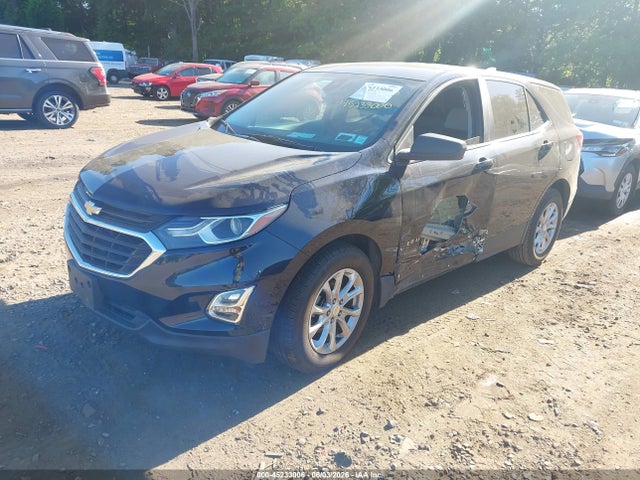 Продаж на аукціоні авто 2020 Chevrolet Equinox Fwd Ls, vin: 3GNAXHEV9LS532693, номер лоту: 45233006