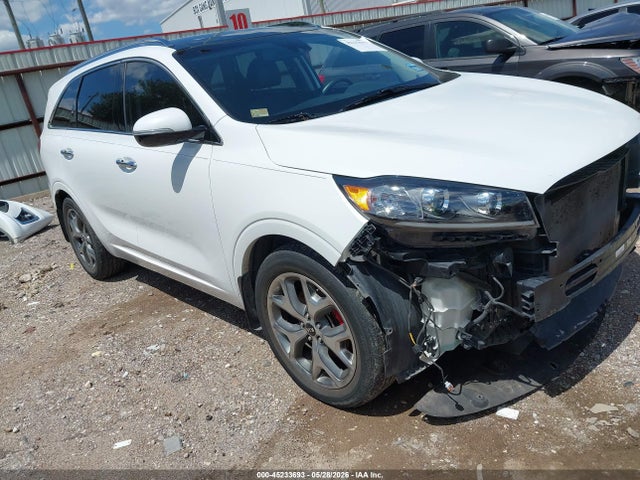 2019 5XYPK4A52KG596087 main image