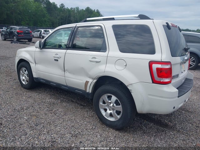 Продаж на аукціоні авто 2010 Ford Escape Limited, vin: 1FMCU0EGXAKB92178, номер лоту: 45233704