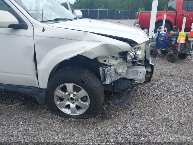 Продаж на аукціоні авто 2010 Ford Escape Limited, vin: 1FMCU0EGXAKB92178, номер лоту: 45233704
