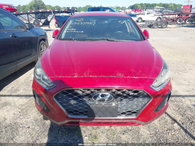 Продаж на аукціоні авто 2019 Hyundai Sonata Sel, vin: 5NPE34AF4KH774975, номер лоту: 45233927