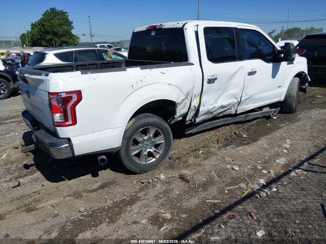 45234867 :رقم المزاد ، 1FTEW1CG8FKE13347 vin ، 2015 Ford F-150 Xlt مزاد بيع