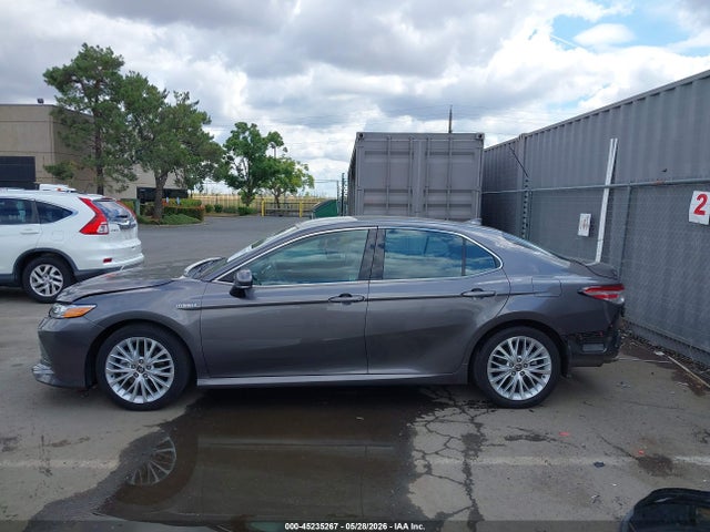 4T1F31AK6LU544664 Toyota Camry Xle Hybrid
