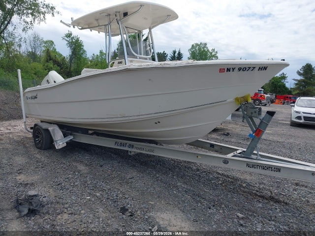 Bullsbay Other 2020 FVZN7603F020 главное изображение