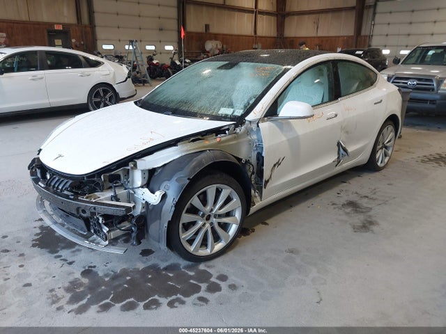 45237604 :رقم المزاد ، 5YJ3E1EB8KF195574 vin ، 2019 Tesla Model 3 Long Range/performance مزاد بيع