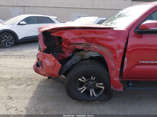 3TMCZ5AN1KM240149 Toyota Tacoma Trd Sport