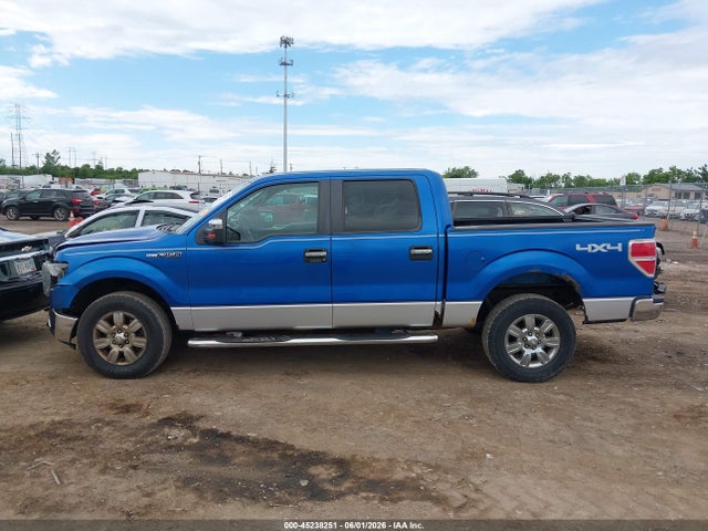 2010 Ford F-150 Fx4/harley-davidson/king Ranch/lariat/platinum/xl/xlt მანქანა იყიდება აუქციონზე, vin: 1FTFW1EVXAFA49336, აუქციონის ნომერი: 45238251