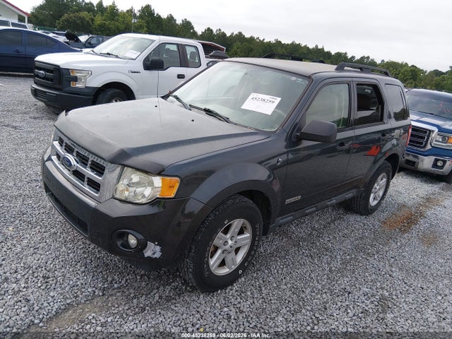 Продажа на аукционе авто 2008 Ford Escape Hybrid, vin: 1FMCU49H38KD74096, номер лота: 45238259