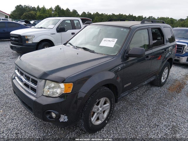 Продажа на аукционе авто 2008 Ford Escape Hybrid, vin: 1FMCU49H38KD74096, номер лота: 45238259