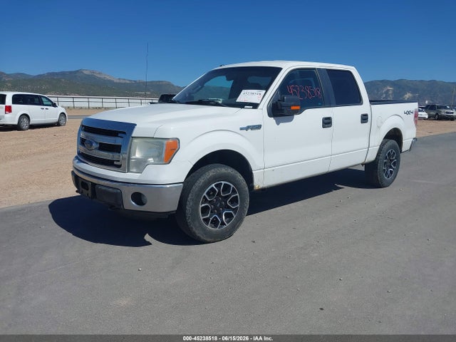 Aukcja sprzedaży 2013 Ford F-150 Xlt, vin: 1FTFW1EF6DFC44251, numer aukcji: 45238518