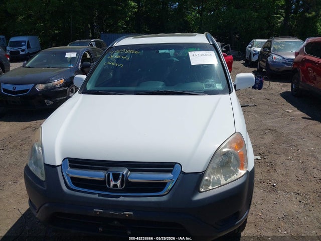 Auction sale of the 2004 Honda Cr-v Ex, vin: JHLRD78834C035346, lot number: 45238866