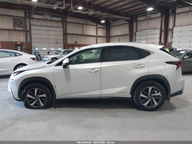 Продаж на аукціоні авто 2020 Lexus Nx 300h, vin: JTJGJRDZ4L5008485, номер лоту: 45239433