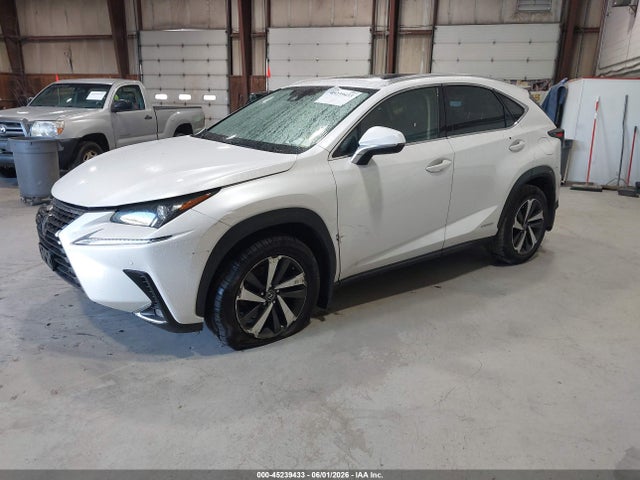Продаж на аукціоні авто 2020 Lexus Nx 300h, vin: JTJGJRDZ4L5008485, номер лоту: 45239433