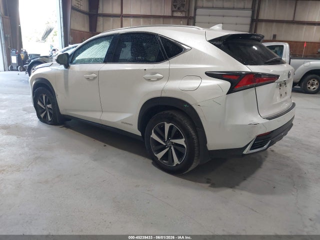 Продаж на аукціоні авто 2020 Lexus Nx 300h, vin: JTJGJRDZ4L5008485, номер лоту: 45239433
