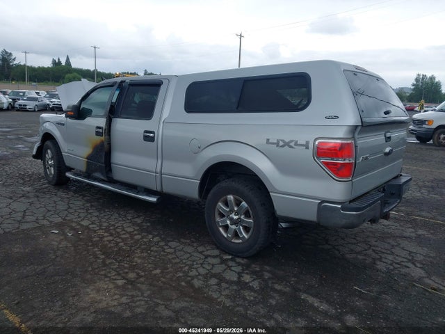 Ford F-150 Xlt 2014 1FTFW1ET9EKG50829 Image 3
