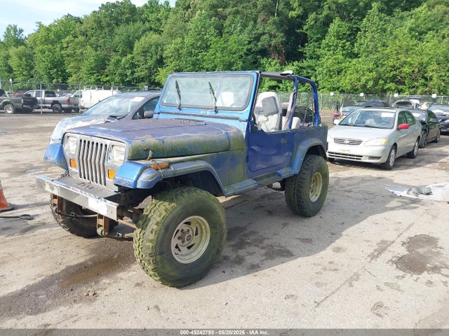 Продаж на аукціоні авто 1994 Jeep Wrangler / Yj Se, vin: 1J4FY29S6RP452360, номер лоту: 45242793