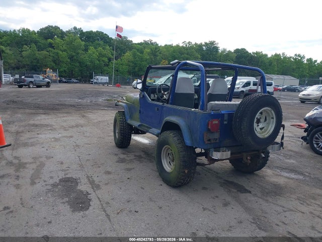 Продаж на аукціоні авто 1994 Jeep Wrangler / Yj Se, vin: 1J4FY29S6RP452360, номер лоту: 45242793