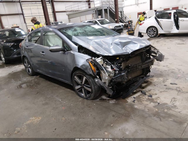 2017 3KPFL4A8XHE110666 main image