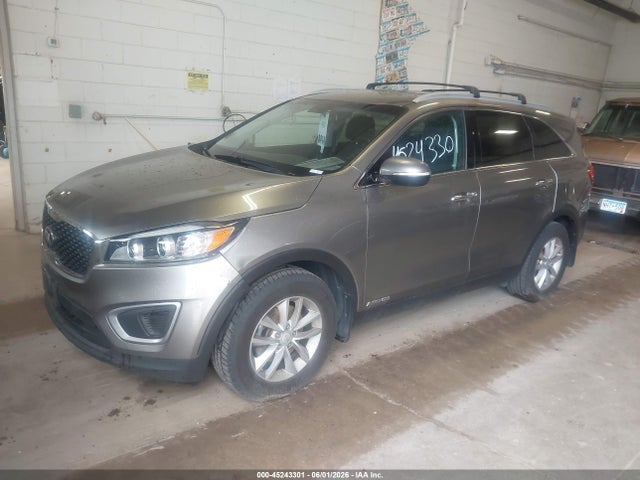 Продажа на аукционе авто 2017 Kia Sorento 3.3l Lx, vin: 5XYPGDA52HG205191, номер лота: 45243301
