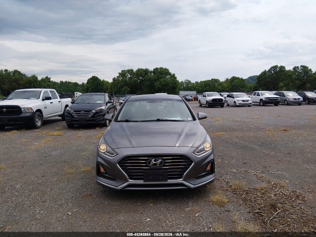 Продаж на аукціоні авто 2019 Hyundai Sonata Eco, vin: 5NPE24AA1KH803470, номер лоту: 45243884
