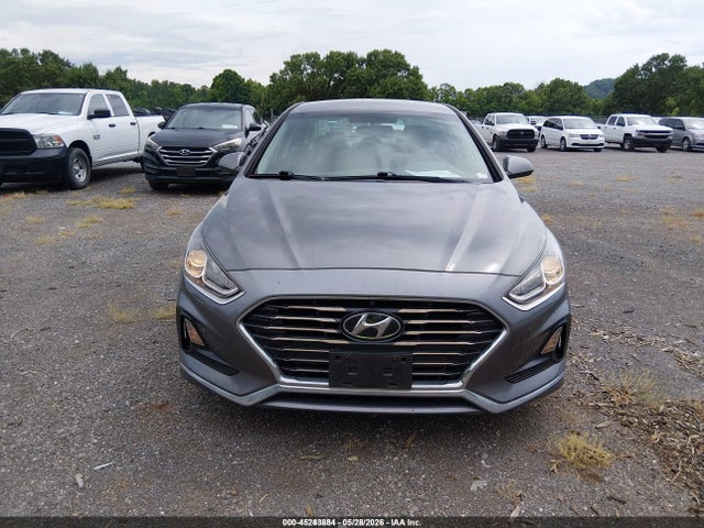 Продаж на аукціоні авто 2019 Hyundai Sonata Eco, vin: 5NPE24AA1KH803470, номер лоту: 45243884