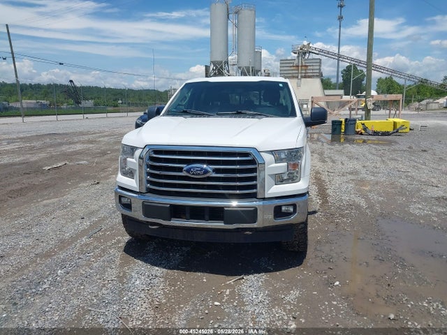 1FTEW1EG4HFB79765 Ford F-150 Xlt