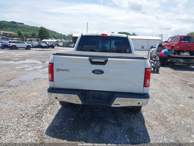 1FTEW1EG4HFB79765 Ford F-150 Xlt