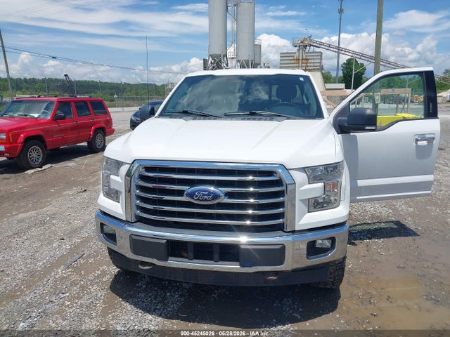 1FTEW1EG4HFB79765 Ford F-150 Xlt