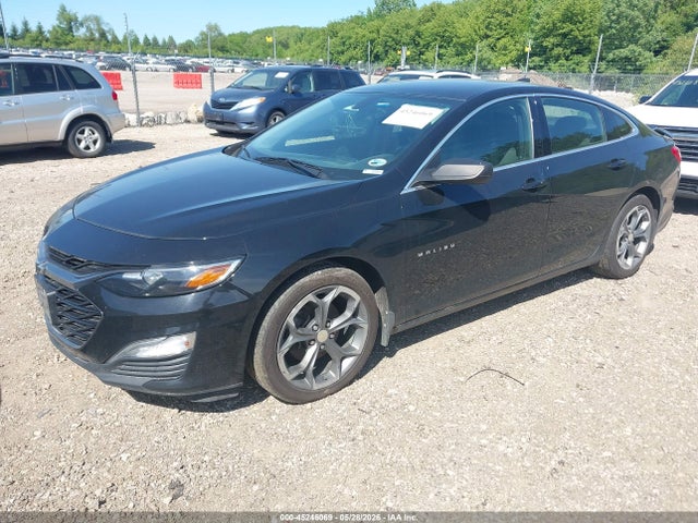 2019 Chevrolet Malibu Rs მანქანა იყიდება აუქციონზე, vin: 1G1ZG5ST4KF190983, აუქციონის ნომერი: 45246069