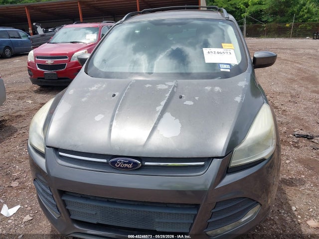 Продаж на аукціоні авто 2013 Ford Escape Se, vin: 1FMCU0GX2DUD01349, номер лоту: 45246573