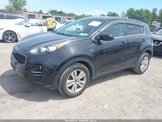 Auction sale of the 2019 Kia Sportage Lx, vin: KNDPMCAC0K7608446, lot number: 45248142