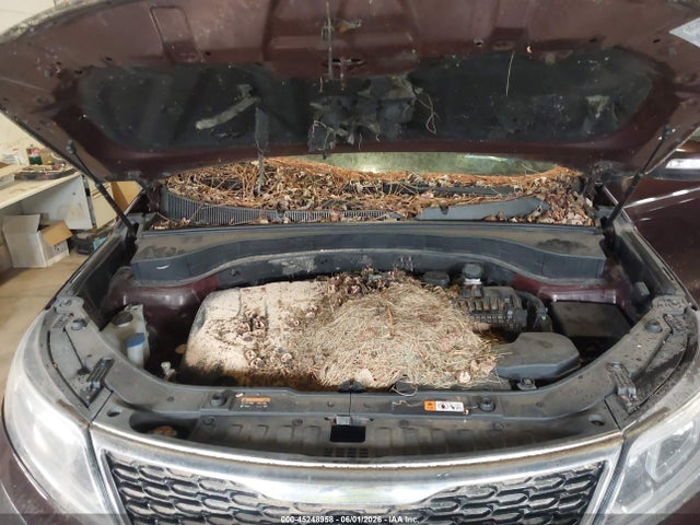 Продажа на аукционе авто 2014 Kia Sorento Lx V6, vin: 5XYKTDA70EG459162, номер лота: 45248958