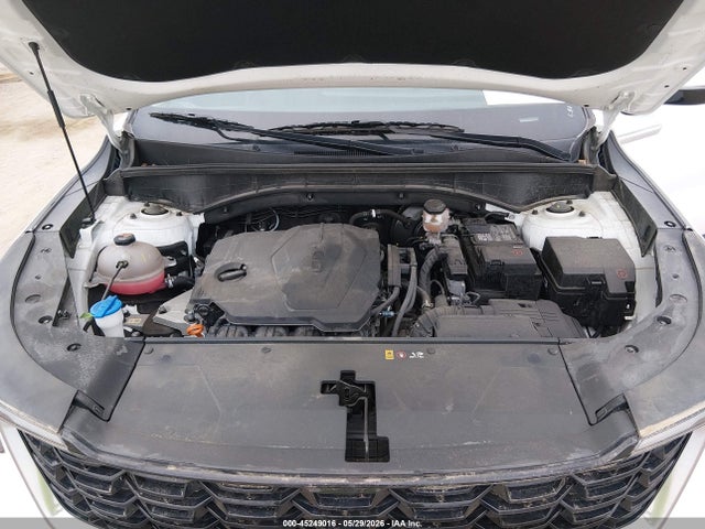 KIA SORENTO S 2024 5XYRLDJC7RG254911 Image 10
