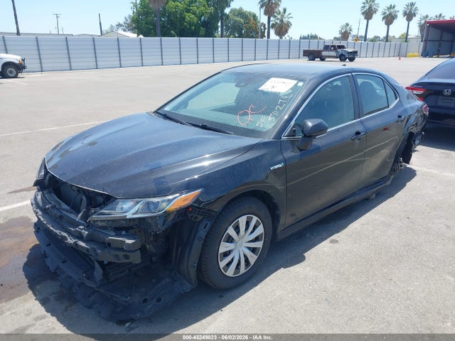 4T1C31AK8MU550681 Toyota Camry Le Hybrid