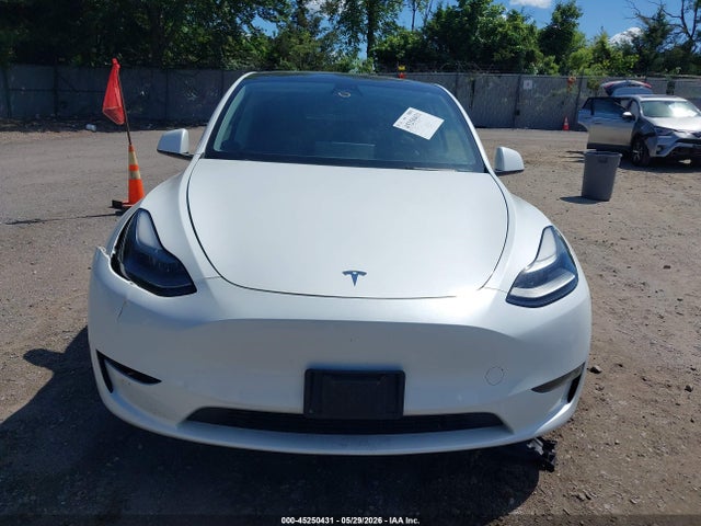 Продажа на аукционе авто 2023 Tesla Model Y Awd/long Range Dual Motor All-wheel Drive, vin: 7SAYGDEE0PF598499, номер лота: 45250431